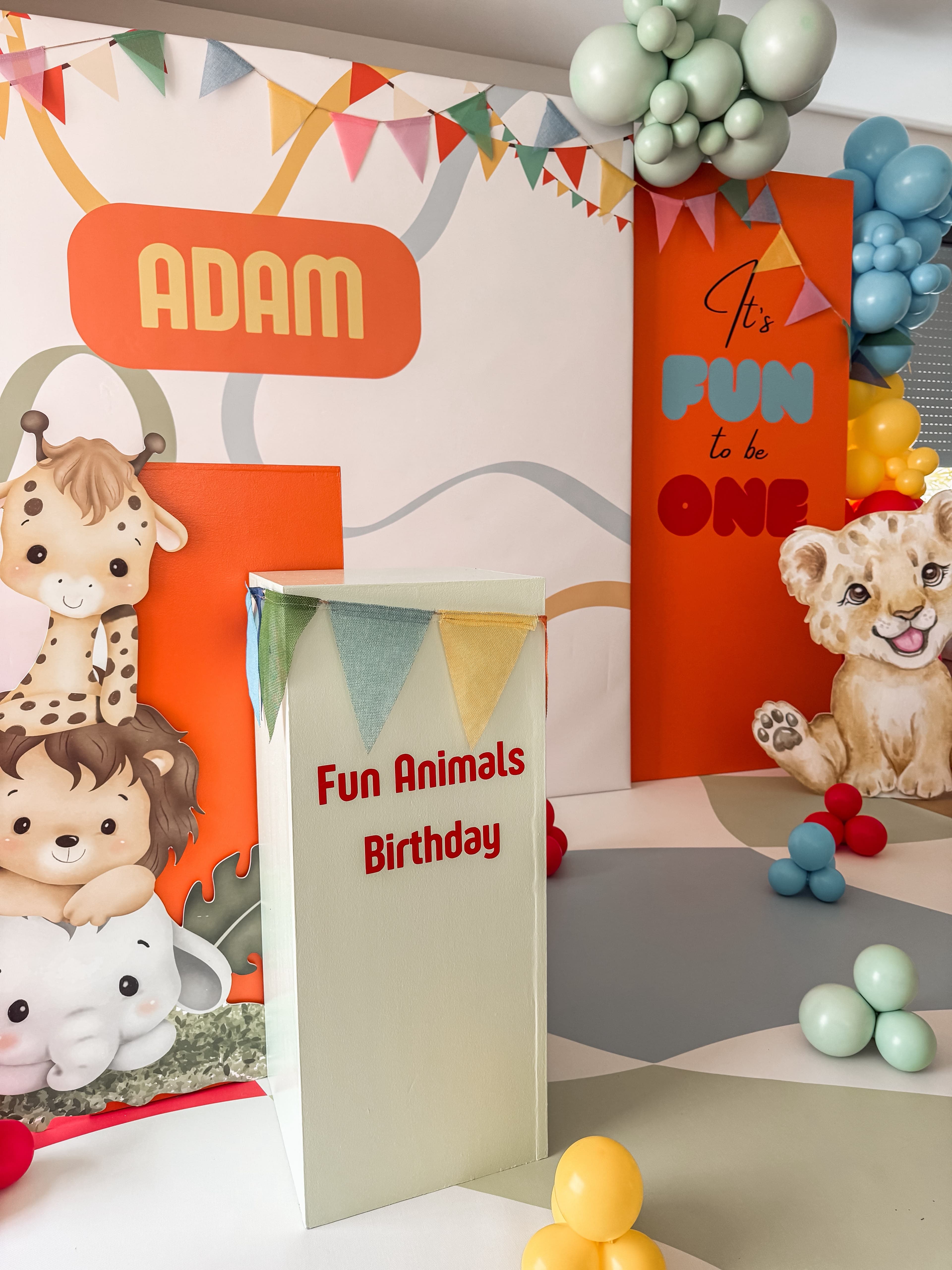Anniversaire d’Adam - Photo 5