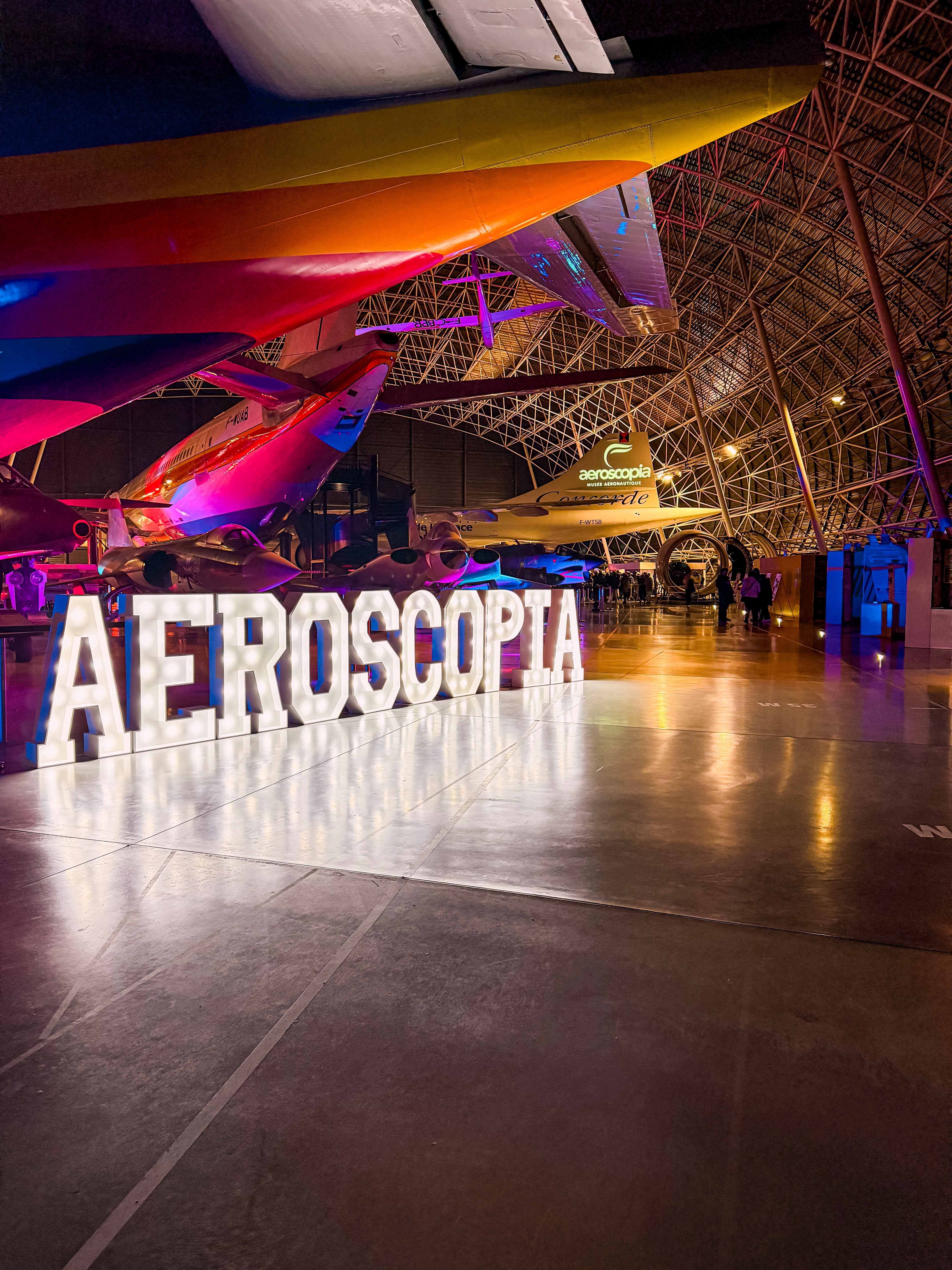 Aeroscopia - Photo 6