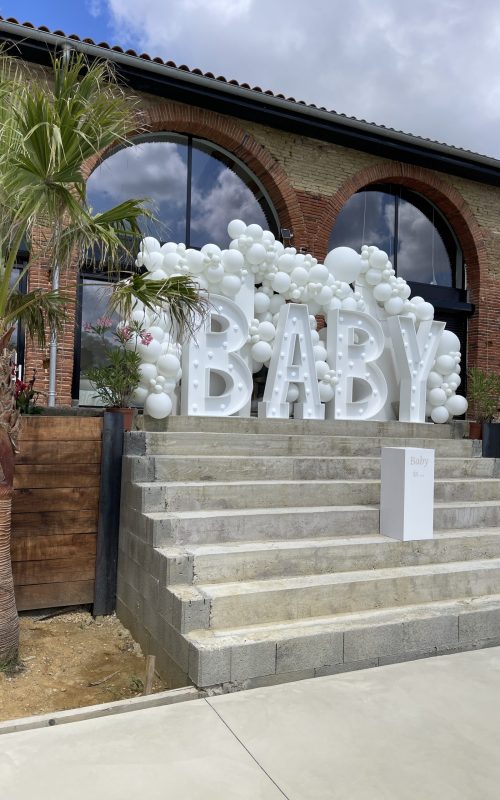 ce-jour-compte-Gender-Reveal-Paul-et-Deborah-3